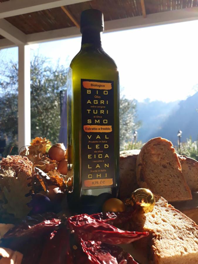 Bio Agriturismo Valle Dei Calanchi Кастільйоне-ін-Теверина Екстер'єр фото
