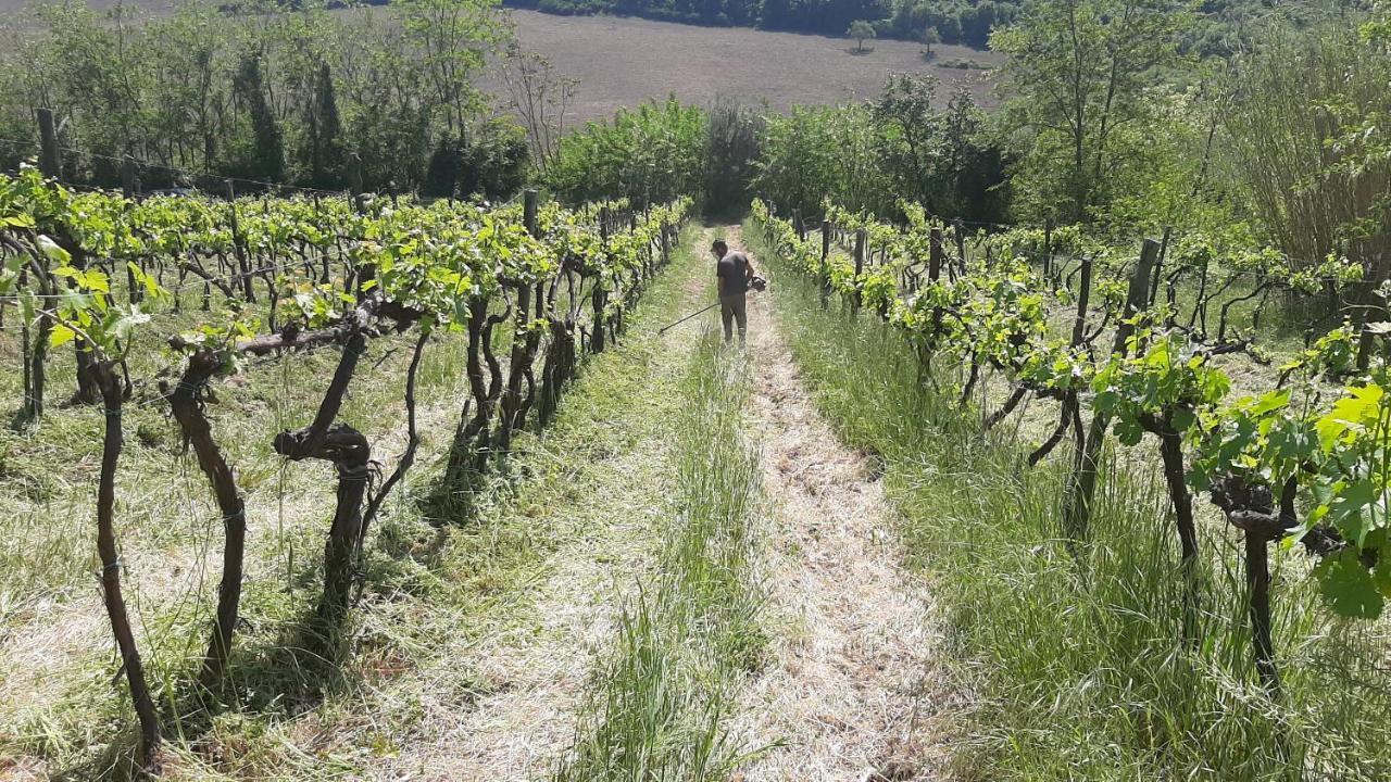 Bio Agriturismo Valle Dei Calanchi Кастільйоне-ін-Теверина Екстер'єр фото