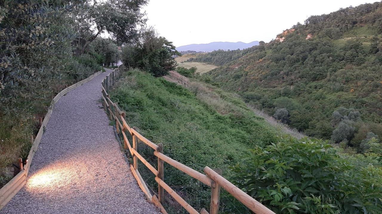 Bio Agriturismo Valle Dei Calanchi Кастільйоне-ін-Теверина Екстер'єр фото