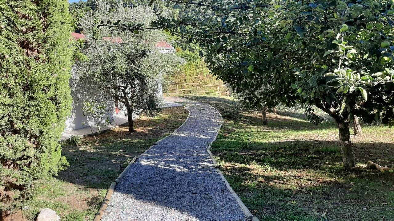 Bio Agriturismo Valle Dei Calanchi Кастільйоне-ін-Теверина Екстер'єр фото