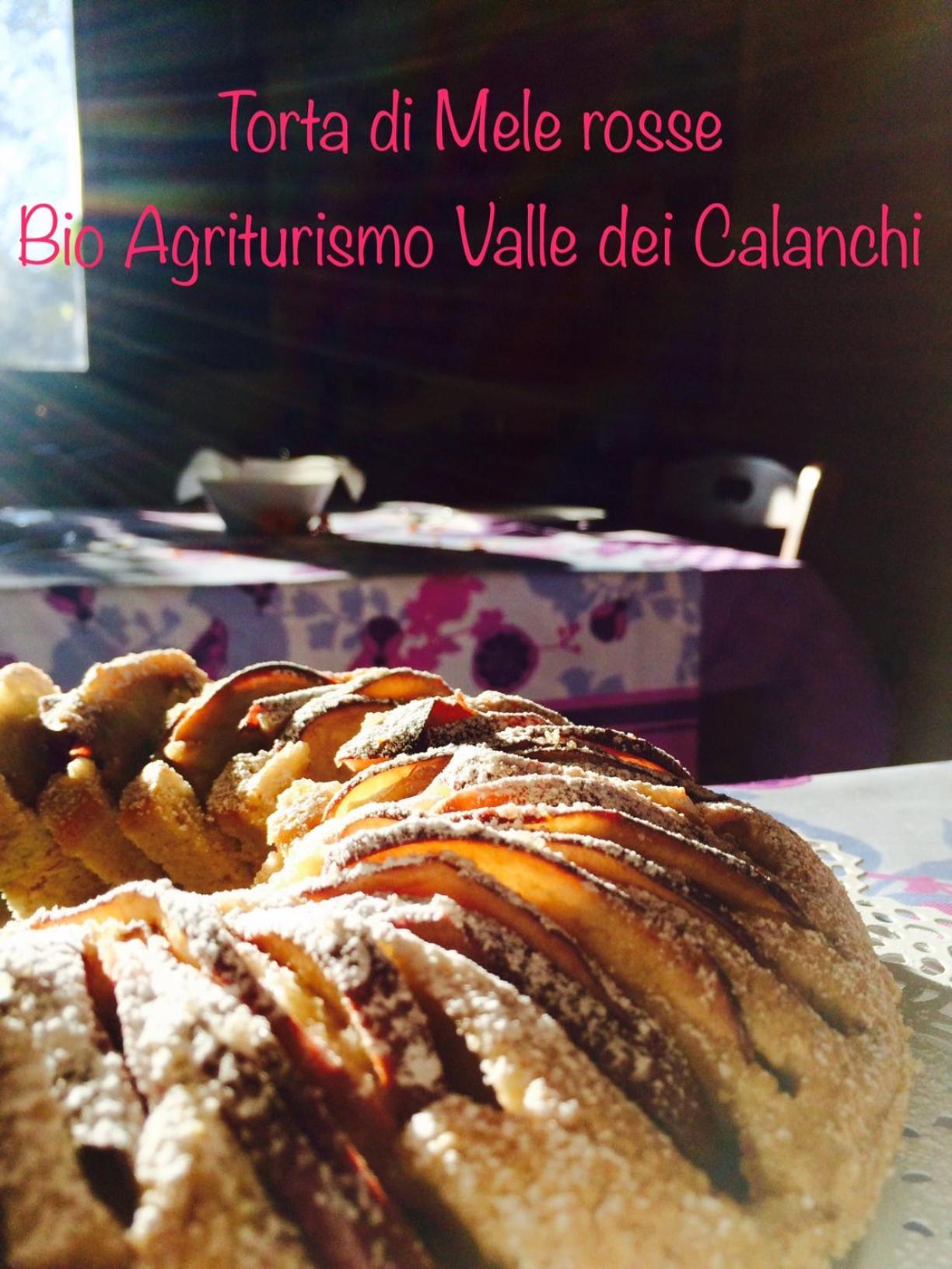 Bio Agriturismo Valle Dei Calanchi Кастільйоне-ін-Теверина Екстер'єр фото